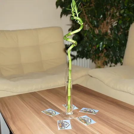 Selinsek 招待所 普图伊